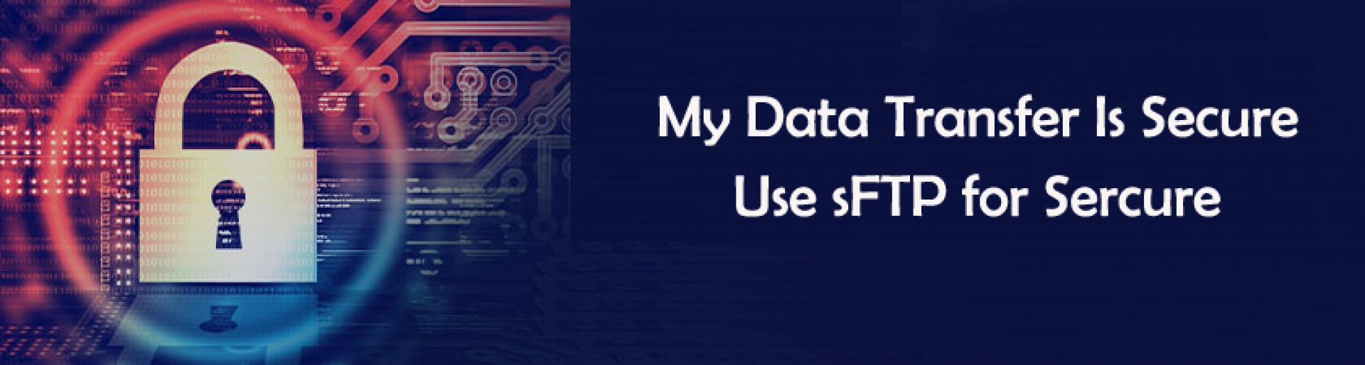 sFTP Servers - Hostcarts.in: Buy Domain Names | Website Hosting | Cloud Hosting | VPS | SSL